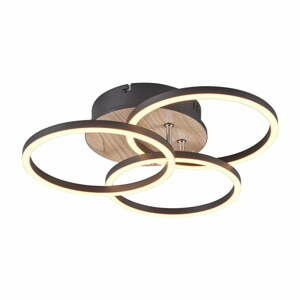 Černo-hnědé LED stropní svítidlo 43x43 cm Circle – Trio