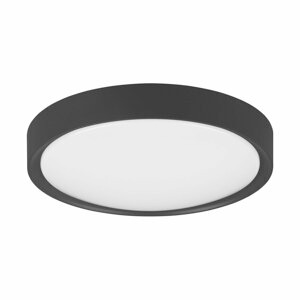 Matně černé LED stropní svítidlo ø 33 cm Clarimo – Trio