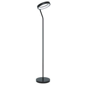 Eglo STOJACÍ LAMPA, 27/30,5/169 cm