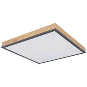 Globo STROPNÍ LED SVÍTIDLO, 45/45/6,5 cm