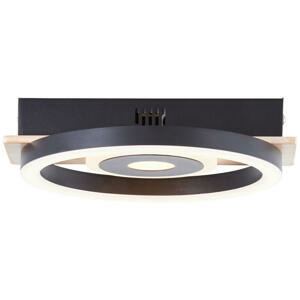 STROPNÍ LED SVÍTIDLO, 5,5/22/20 cm